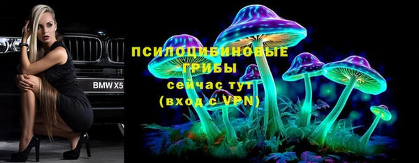 PSILOCYBIN Орехово-Зуево