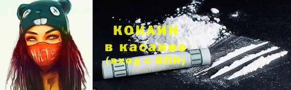 стаф Долгопрудный