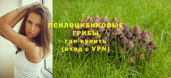 прущий лед Костерёво