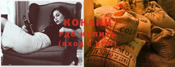стаф Долгопрудный
